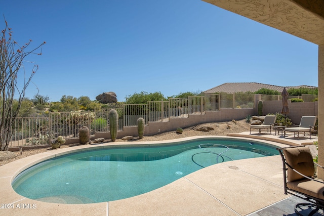 view of swimming pool with a patio area