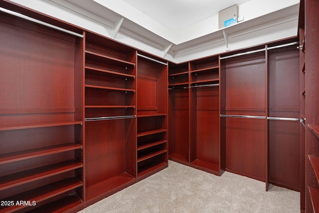 spacious closet featuring light colored carpet
