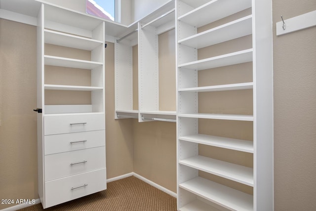 walk in closet with carpet flooring