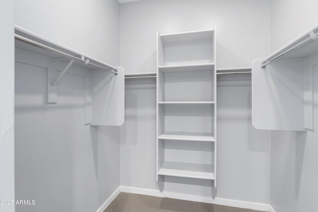 4628 W Greenleaf Dr, San Tan Valley, AZ 85144 - spacious closet featuring carpet
