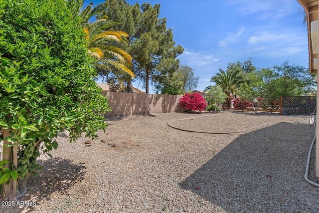 21192 E Stirrup St, Queen Creek, AZ 85142 - view of yard with fence