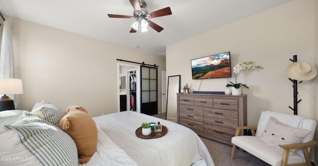 carpeted bedroom featuring a barn door, a ceiling fan, a walk in closet, and a closet