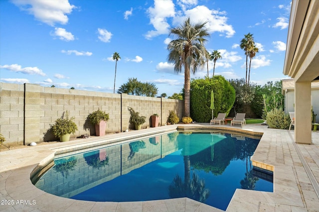 view of pool featuring a patio