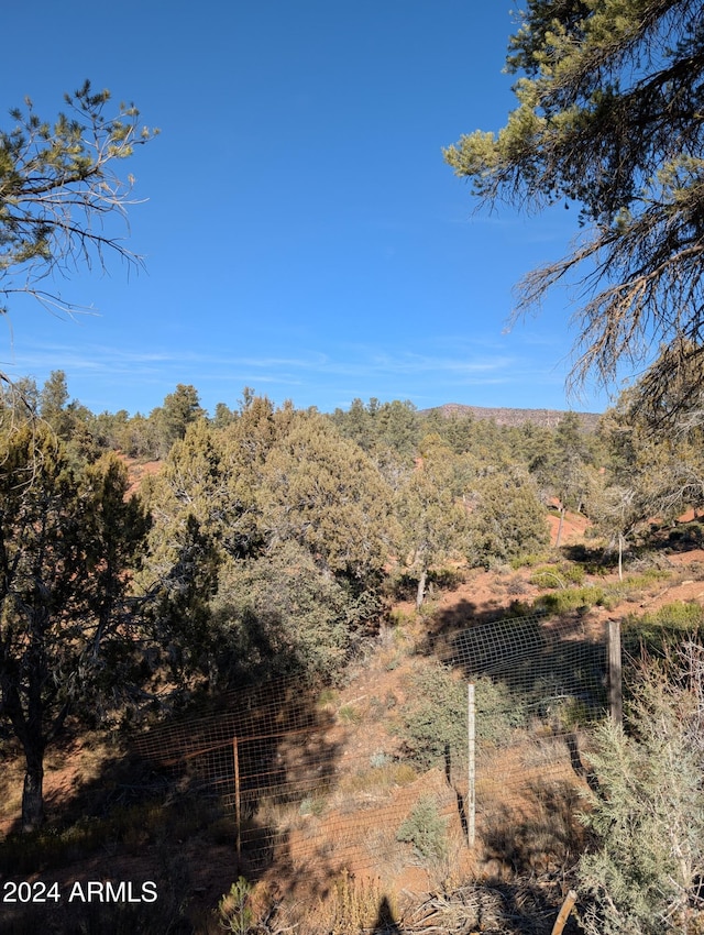 view of nature featuring a wooded view