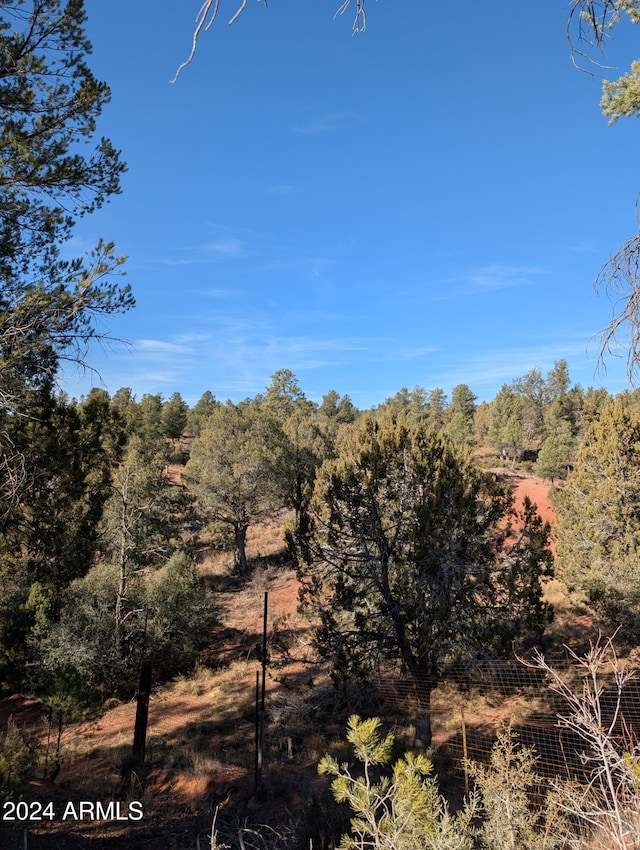 view of local wilderness featuring a view of trees