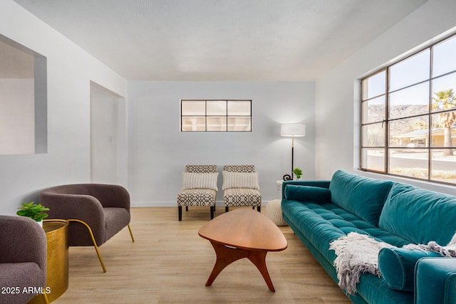 living room featuring light hardwood / wood-style flooring