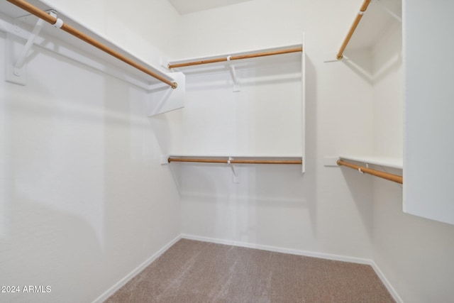 spacious closet with carpet