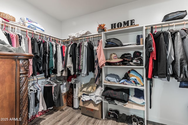 walk in closet with hardwood / wood-style flooring