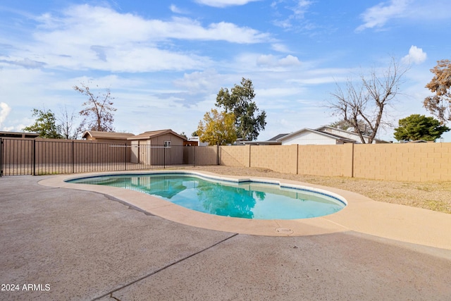 view of pool with a patio