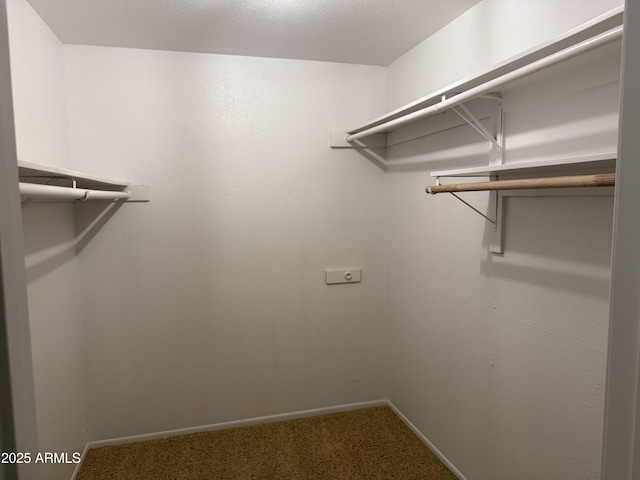 walk in closet featuring carpet