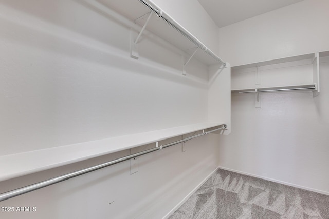 walk in closet with light colored carpet