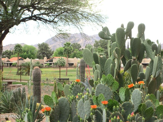 view of yard featuring fence and a mountain view