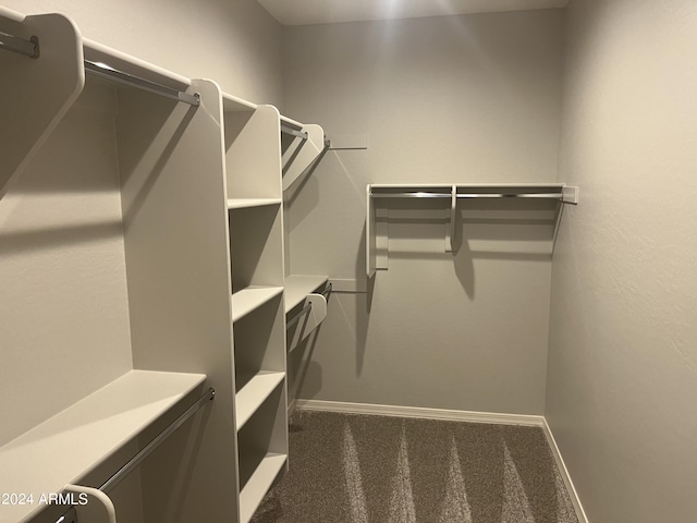 spacious closet featuring carpet floors