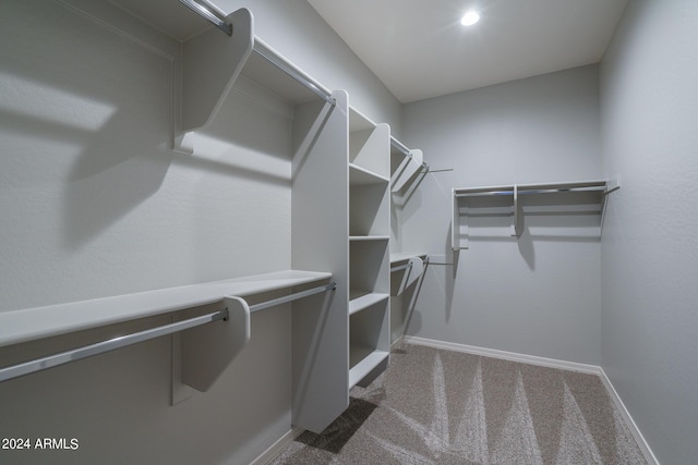 spacious closet featuring carpet flooring