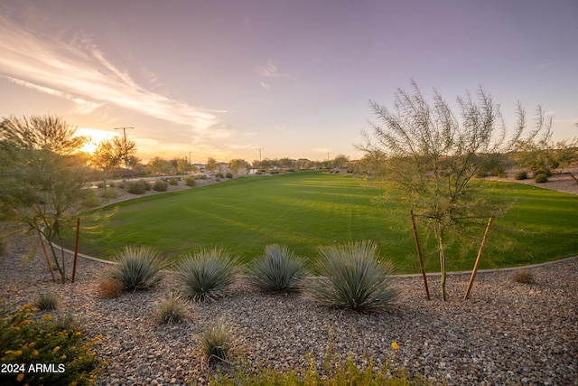 view of property's community featuring a yard