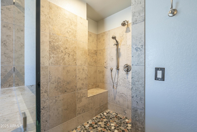 2340 W Myrtle Dr, Chandler, AZ 85248 - full bath featuring tiled shower