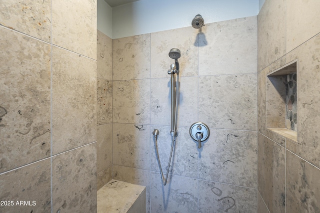 2340 W Myrtle Dr, Chandler, AZ 85248 - bathroom with a tile shower