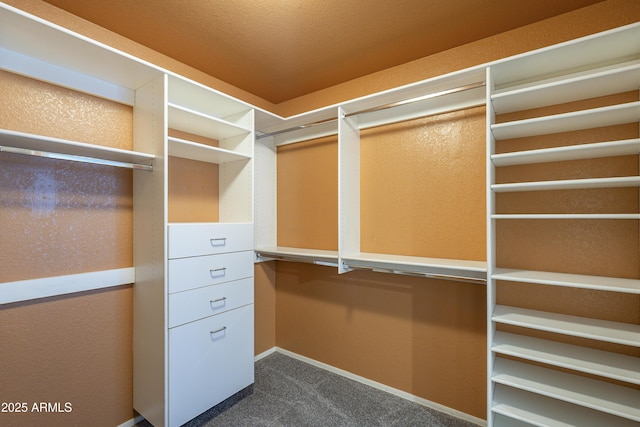2340 W Myrtle Dr, Chandler, AZ 85248 - walk in closet with dark carpet