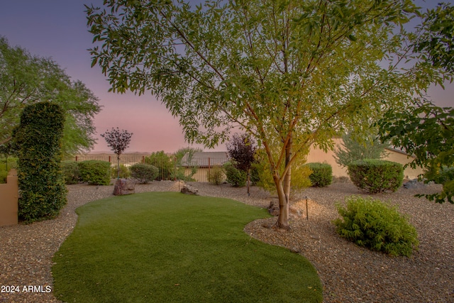 view of yard at dusk