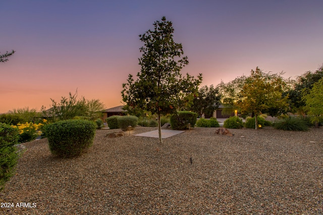 view of yard at dusk