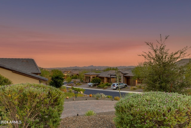 view of yard at dusk