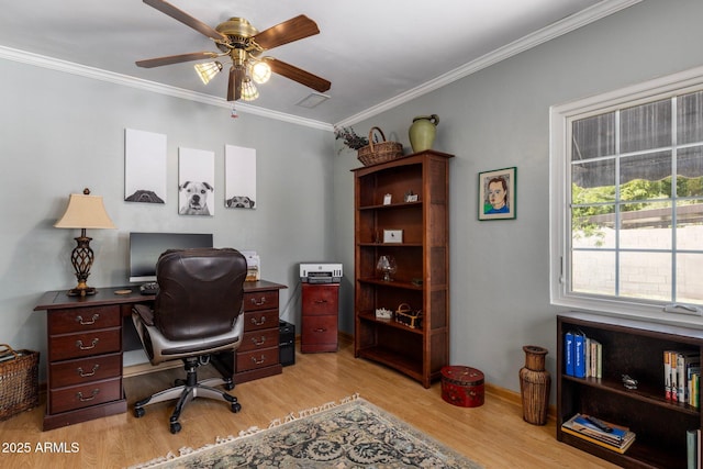 office featuring crown molding, light wood-style flooring, visible vents, ceiling fan, and baseboards