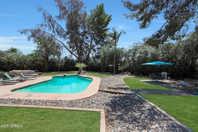 6911 E Thunderbird Rd, Scottsdale, AZ 85254 - swimming pool with a patio area, a lawn, and view of scattered trees