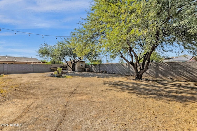 view of yard featuring a storage shed