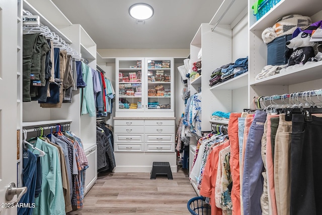 14655 W Pasadena Ave, Litchfield Park, AZ 85340 - walk in closet with light wood-type flooring