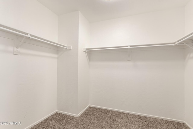 304 E Beth Dr, Phoenix, AZ 85042 - walk in closet with carpet floors