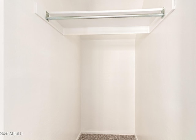 304 E Beth Dr, Phoenix, AZ 85042 - spacious closet with carpet
