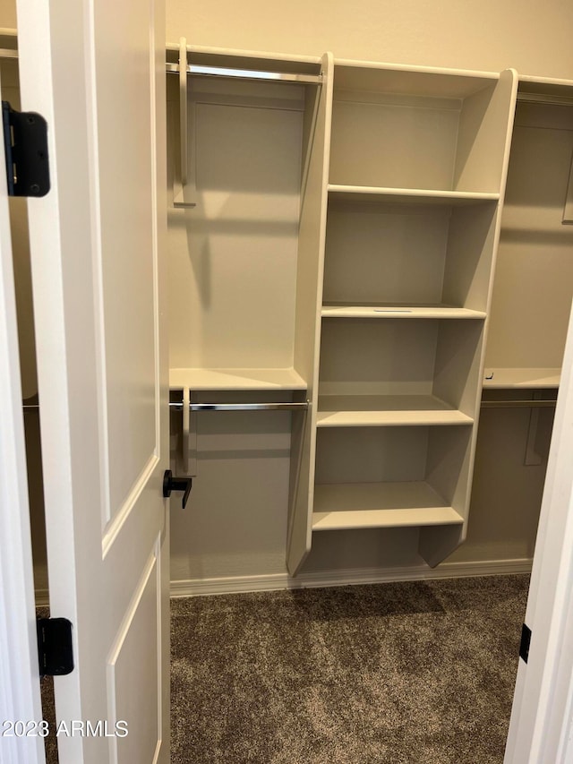 spacious closet featuring dark colored carpet