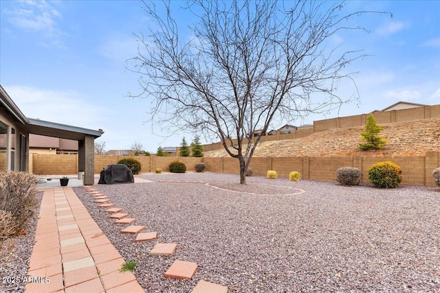 view of yard featuring a fenced backyard