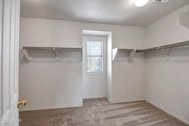 walk in closet with light colored carpet