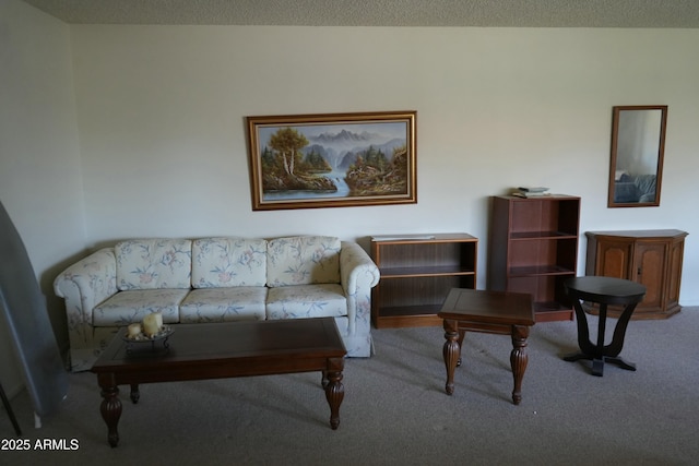 living room with carpet floors