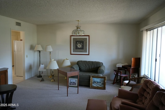 carpeted living room with a textured ceiling