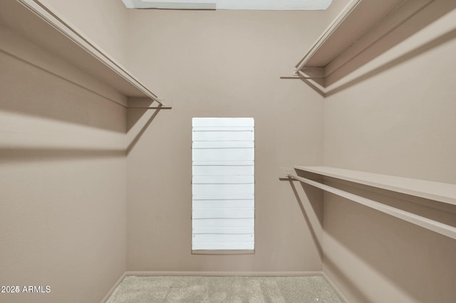 walk in closet with light colored carpet