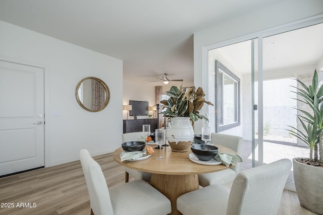 644 N Vine St, Chandler, AZ 85225 - dining room with light wood-style floors and ceiling fan