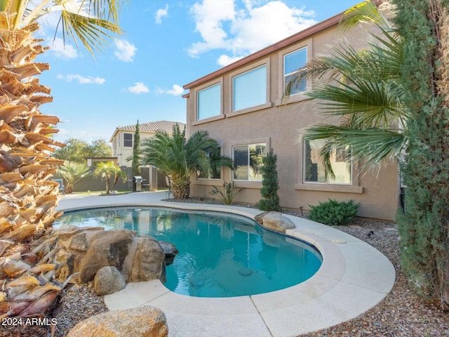 view of pool with a patio area