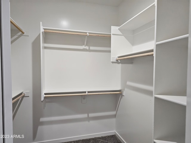 walk in closet featuring carpet flooring