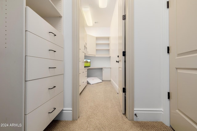 spacious closet with light carpet