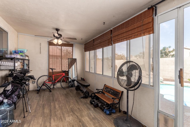 sunroom featuring ceiling fan and a healthy amount of sunlight
