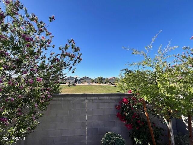 17066 W Seldon Ln, Waddell, AZ 85355 - view of yard