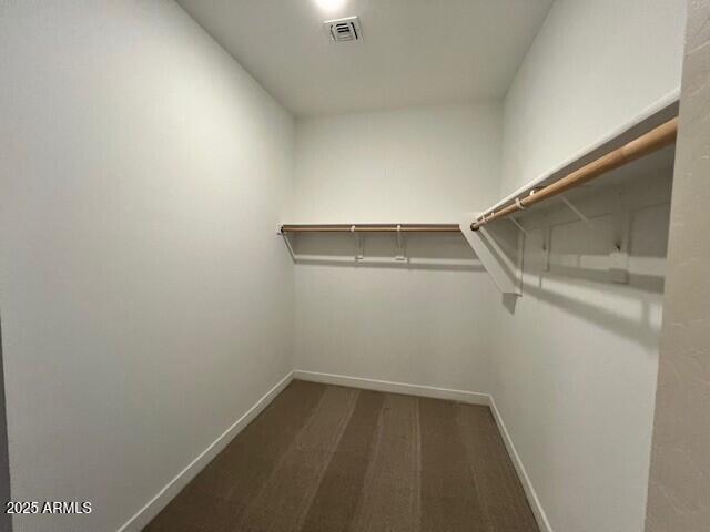 17066 W Seldon Ln, Waddell, AZ 85355 - walk in closet with carpet floors