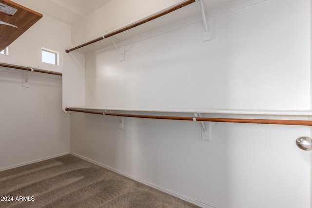 spacious closet featuring carpet