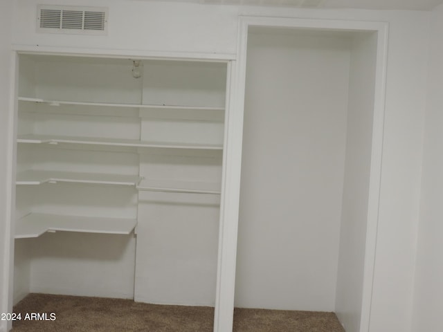 view of closet