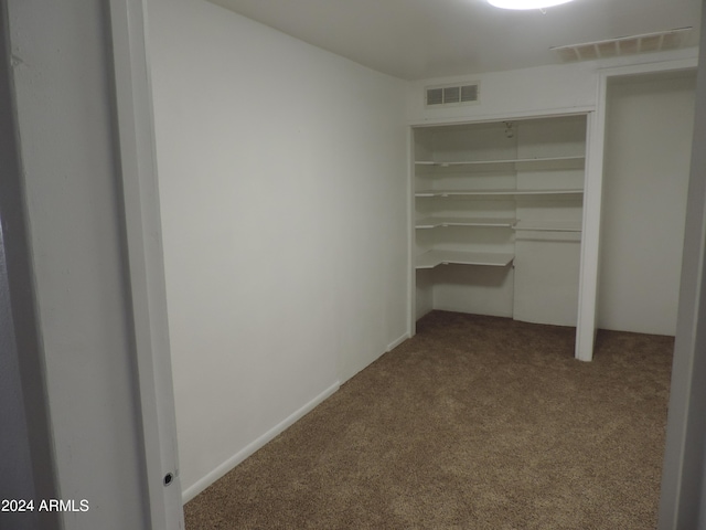 spacious closet featuring carpet