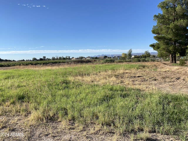 view of local wilderness with a rural view