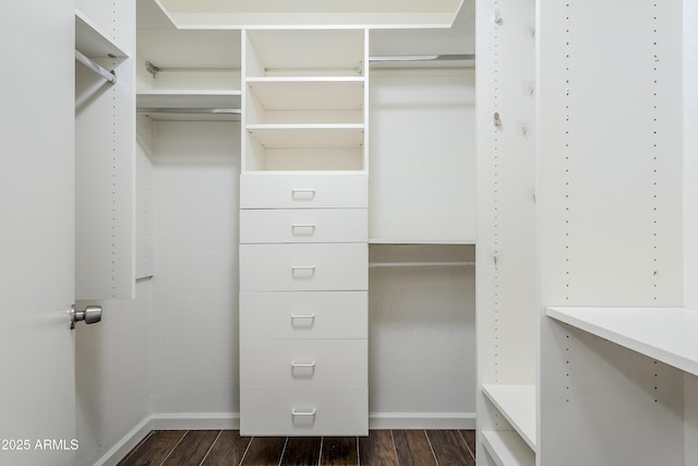 spacious closet with dark hardwood / wood-style flooring