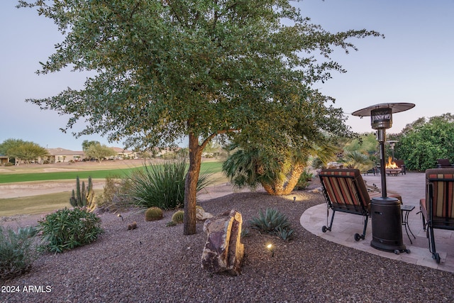 view of yard with a patio area